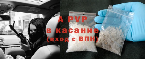прущие грибы Белоозёрский