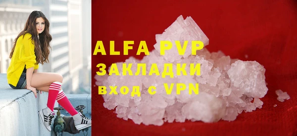 прущие грибы Белоозёрский