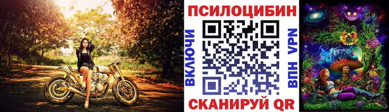 kraken зеркало  Кострома  Псилоцибиновые грибы MAGIC MUSHROOMS 